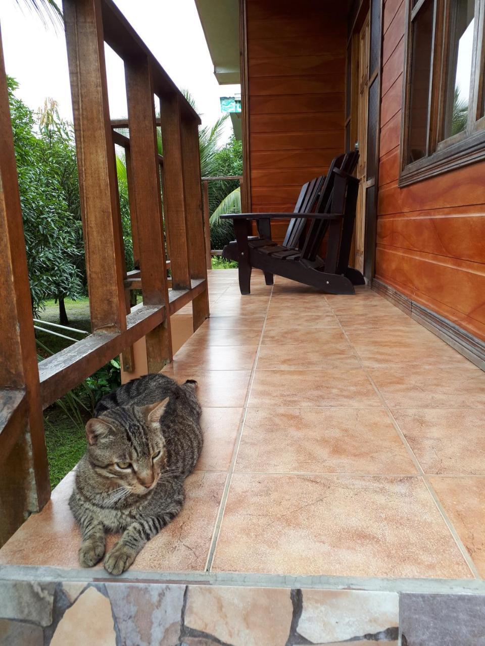 Babilonia Aparthotel Cahuita Εξωτερικό φωτογραφία